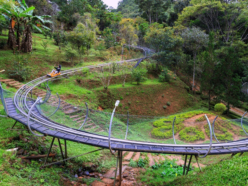 Datanla New Alpine Coaster Experience in Da Lat | Vietnam